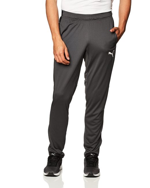 PUMA Speed Pants in Asphalt (Gray) for Men | Lyst