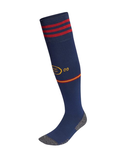 Adidas Blue Performance Fef Spain Home World Cup 2022 Football Socks for men