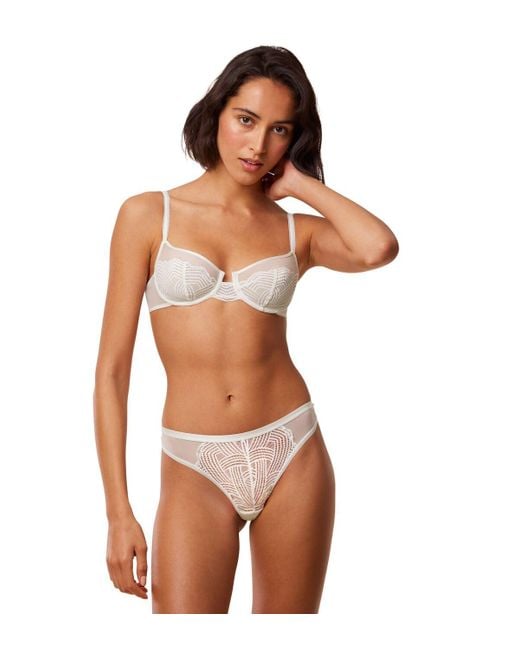 Triumph Brown Delightful Spotlight W Bra