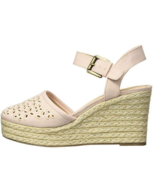 skechers turtledove 2014