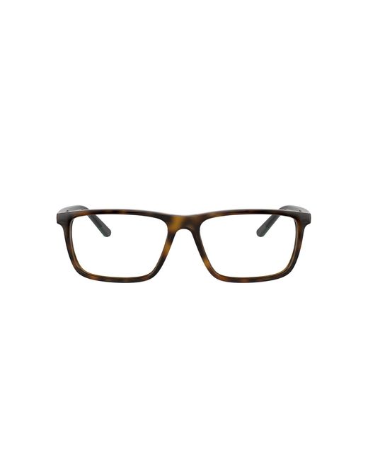polo optical frames