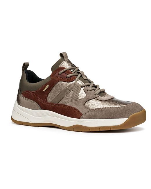 Geox Brown Berinike B ABX Trainers EU 38