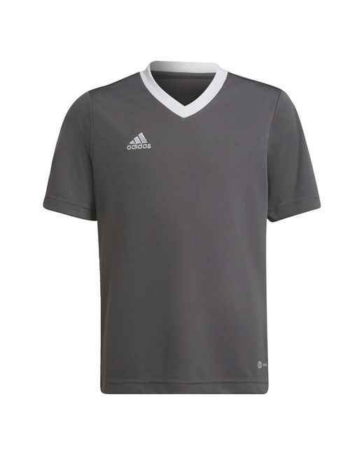 ENT22 JSY Y T-Shirt Adidas de color Gray