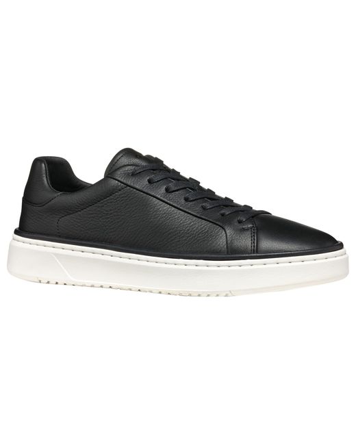 Geox U ZACKERTY A Sneaker in Black für Herren