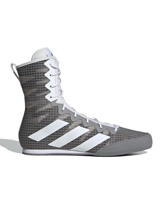 Chaussures de boxe Box-Hog 4 Adulte Adidas pour homme en coloris Gray