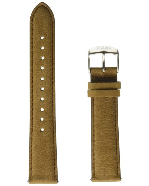 timex quick release strap