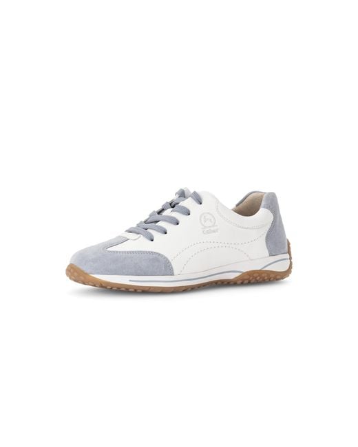 Gabor Black Low-Top Sneaker