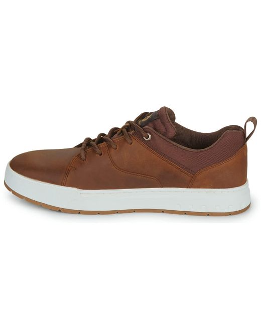 Timberland Brown Maple Grove Sneaker for men