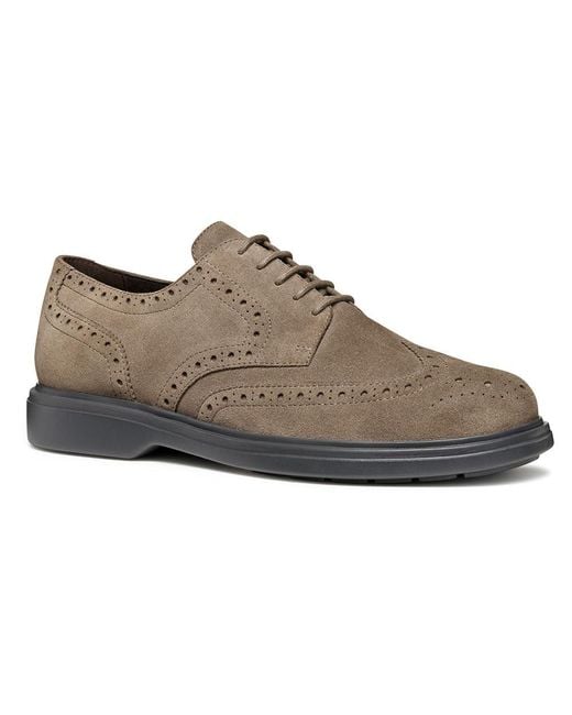 Geox U Ottavio Oxford in Brown for Men Lyst UK