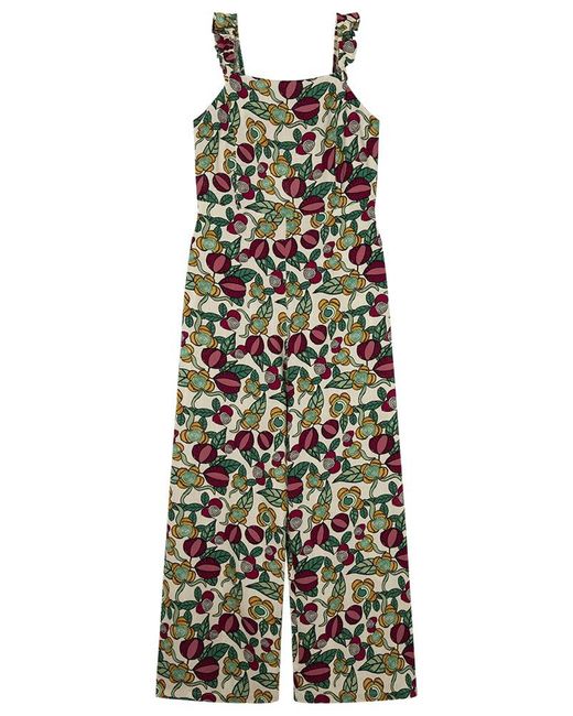 SPRINGFILED Springfield de color Multicolor