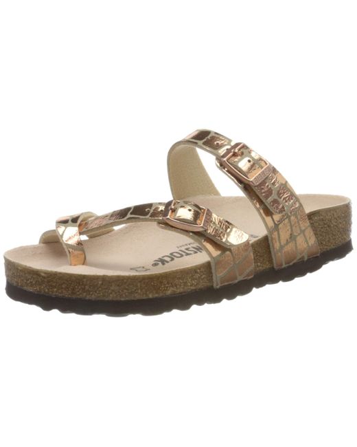 gator gleam copper