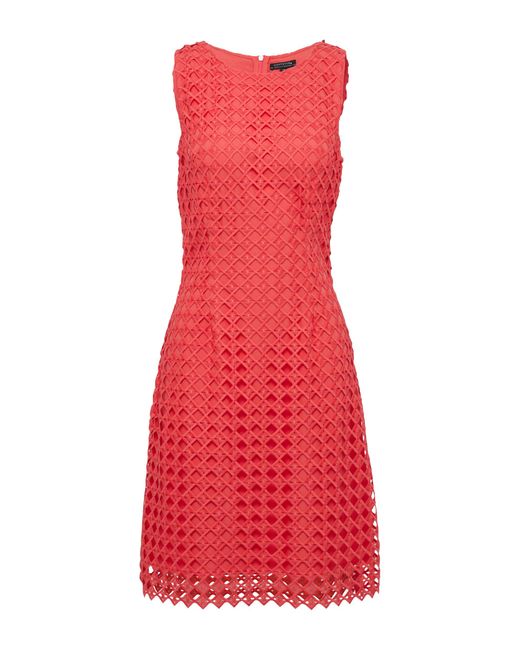 Comma, Red Tailliertes Spitzenkleid mit blickdichtem Futter Koralle 38