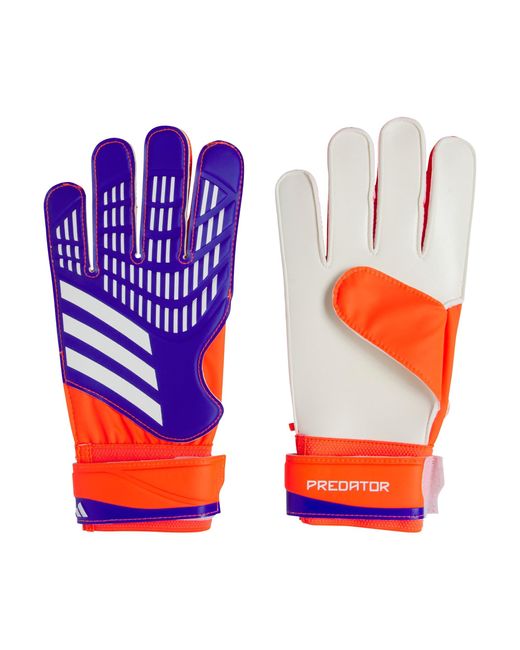 Adidas Predator Training Goalkeeper Gloves for men