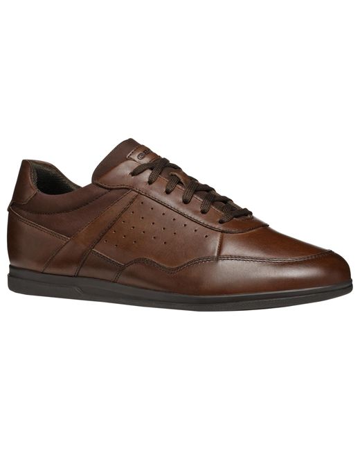 U RENAN C di Geox in Brown da Uomo