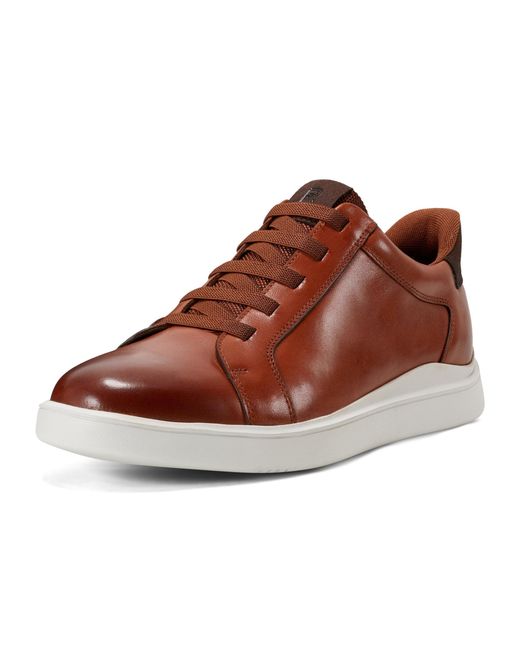 Rockport Brown Tynnar Sneaker for men