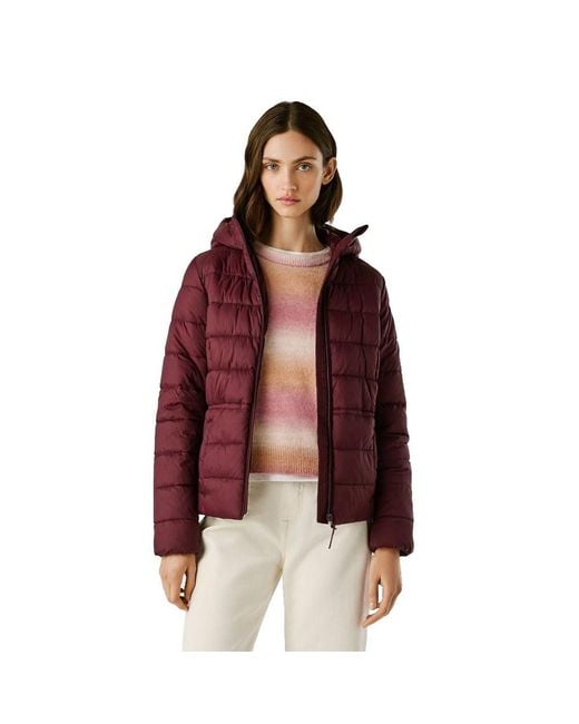 Sally Short Jacket M di Pepe Jeans in Red