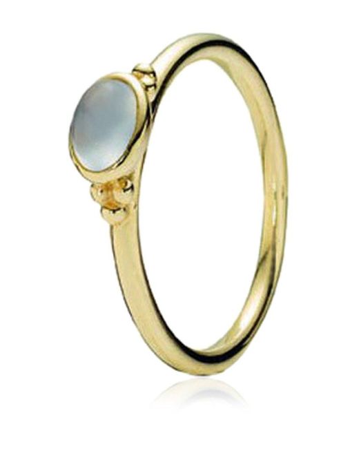 Pandora Metallic Ring 14k Gold Größe 57 150161CA-57