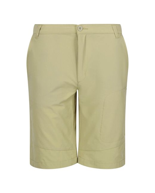 Highton-Pantalones Cortos Largos para Caminar para Hombre Regatta de hombre de color Green