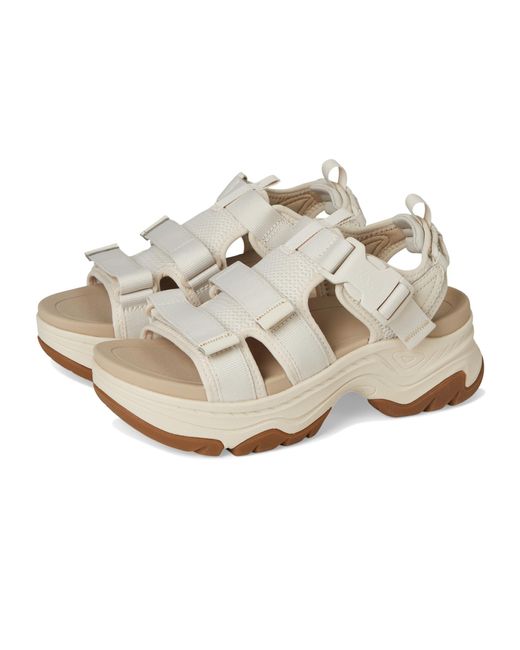 Teva Metallic Women's Hurricane Ampsole Gaila Sandal