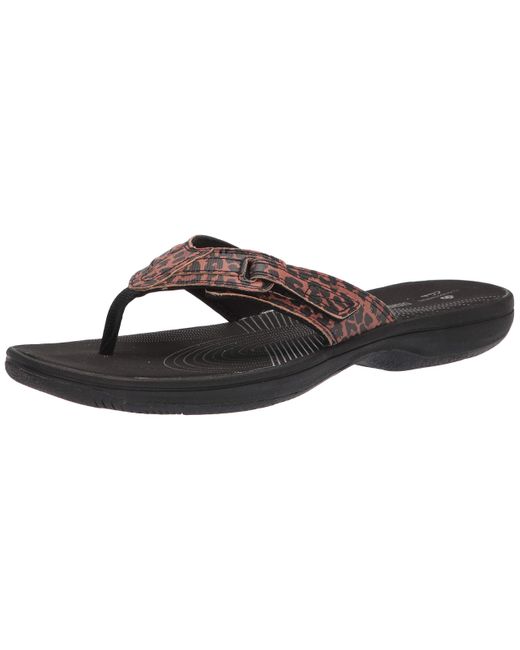 clarks brinkley reef