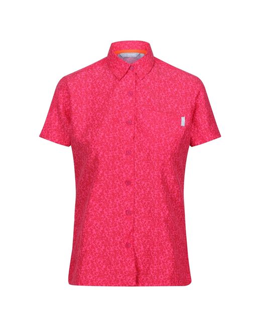 Regatta Mindano Viii Shirt Met Korte Mouwen in het Pink