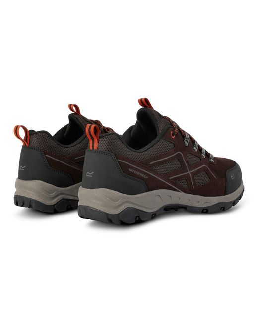 Regatta Black S Vendeavor Suede Low Walking Shoes for men
