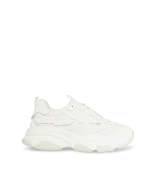 Steve Madden White Possess Sneaker for men