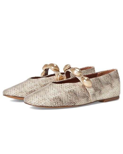 Steve Madden Eydie Ballet Flat (Women)