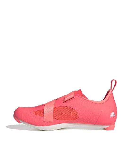 Adidas Pink S Indoor Cycling Shoes Spin Class Smart Trainer Turbo/white 9.5 for men
