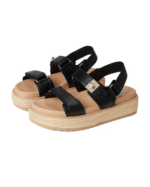 Sandali Bigmona Donna di Steve Madden in Black