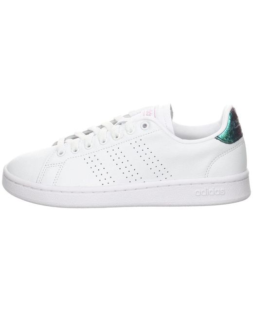 adidas advantage white