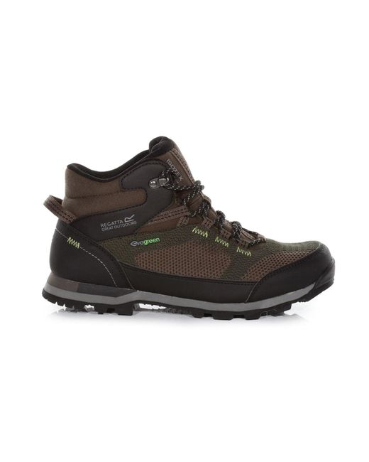 Regatta Blackthorn Evo -Wanderschuhe für Herren