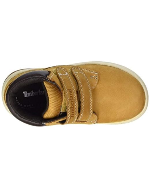 botas para bebe timberland