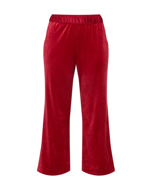 Triumph Red Mix & Match Velour Trousers Pajama Bottom