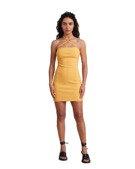 Bec \u0026 Bridge Synthetic Adele Halter 