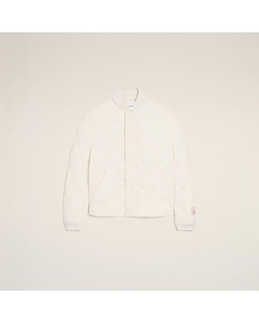 AMI Natural Nylon Padded Jacket