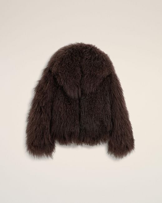 AMI Brown Lamb Shearling Short Jacket