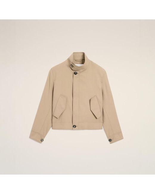 AMI Natural New Wool Harrington Jacket for men