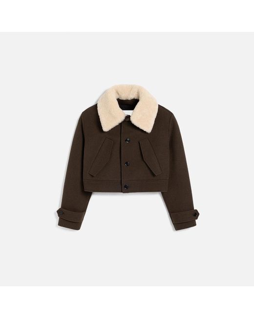 AMI Brown Short Shearling Collar Jacket