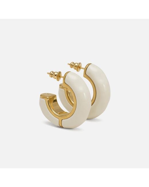 AMI Natural Brass Hammered Lacquered Earrings
