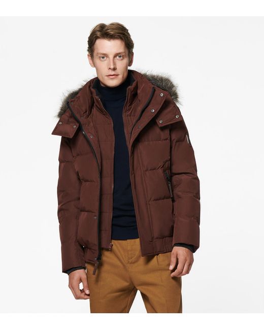 andrew marc bomber