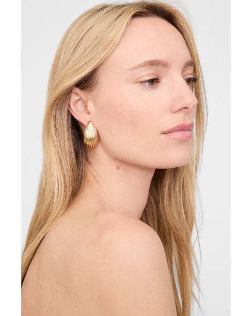 Anine Bing Multicolor Ribbed Drop Earrings