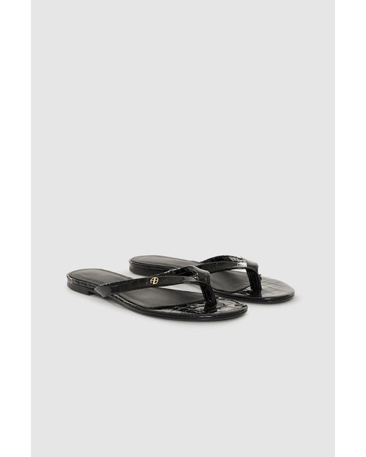 Anine Bing Multicolor Noelle Thong Sandals