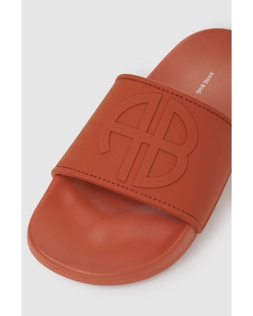 Anine Bing Multicolor Isla Slides