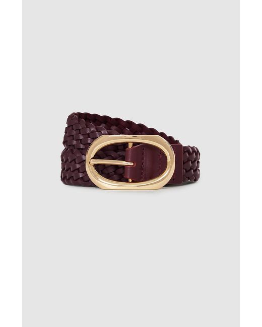 Anine Bing Multicolor Signature Link Belt Braided