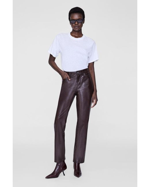 Anine Bing Brown Bruno Pant