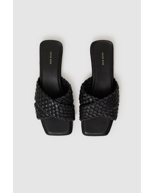 Anine Bing Multicolor Ria Slides Braided