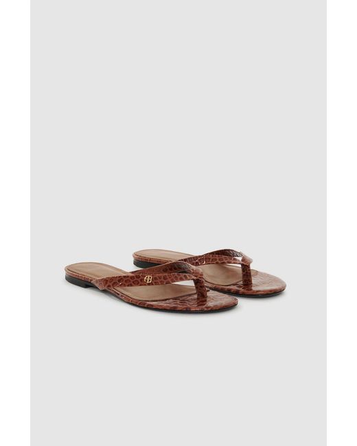 Anine Bing White Noelle Thong Sandals