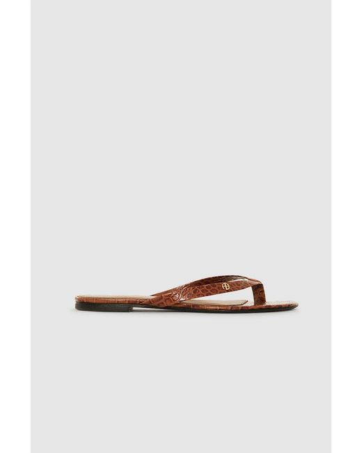 Anine Bing White Noelle Thong Sandals