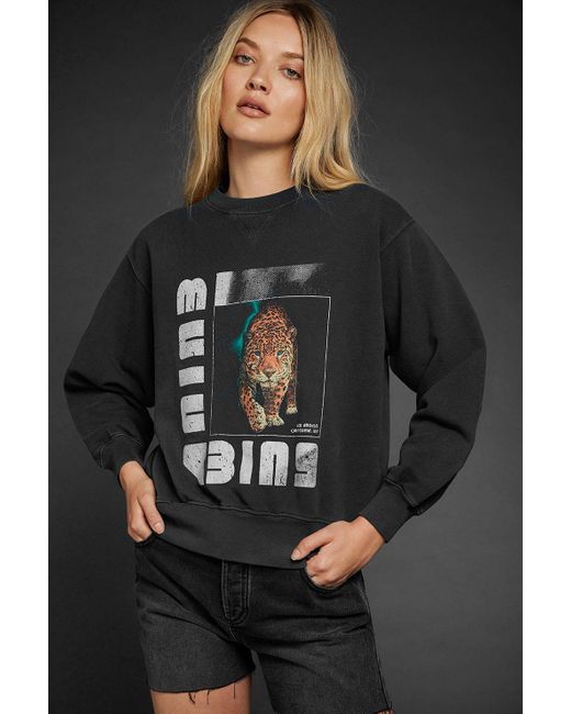 Anine Bing Wild Cat Graphic Sweatshirt in Black | Lyst